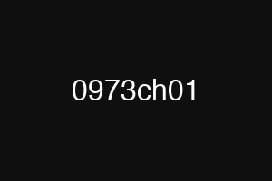 0973ch01