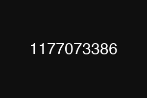 1177073386