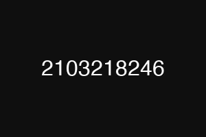 2103218246