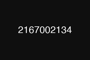 2167002134