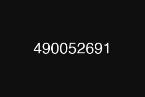 490052691