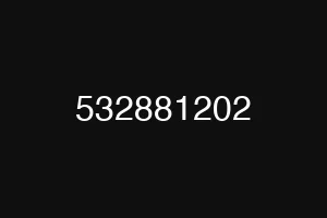 532881202