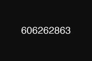 606262863