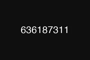 636187311