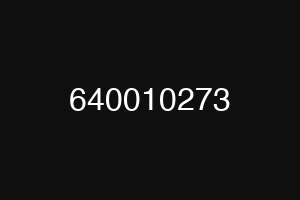 640010273