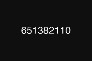 651382110