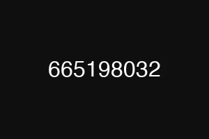 665198032