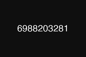 6988203281
