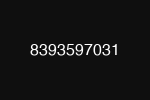 8393597031